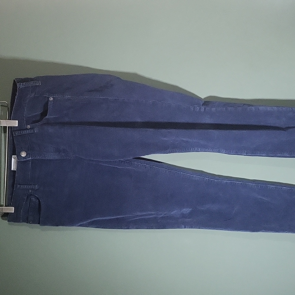 GAP 1969 Always Skinny Blue Corduroys. Size 30